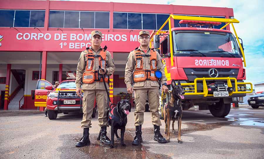 bombeiros 002 web