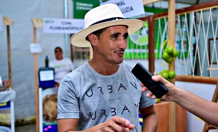farinha czs 003