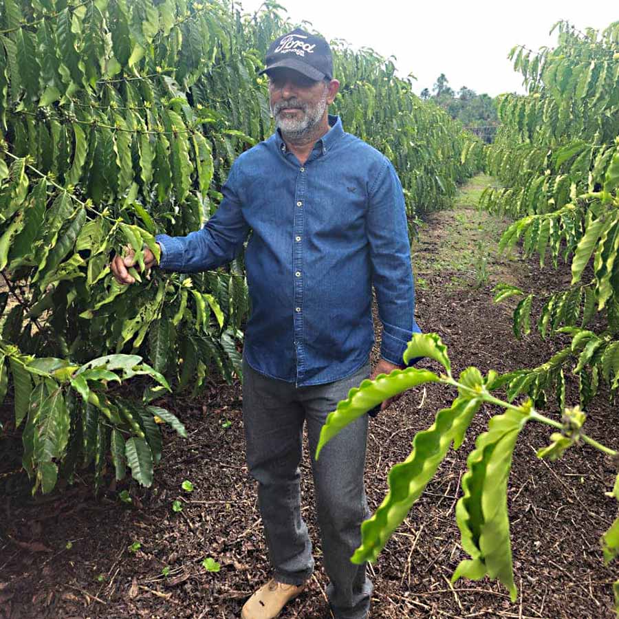 produtores cafe acre 002