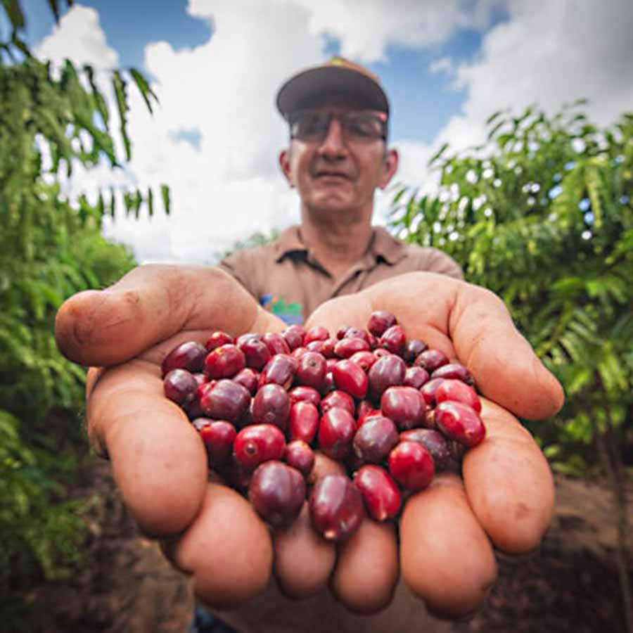 produtores cafe acre 003