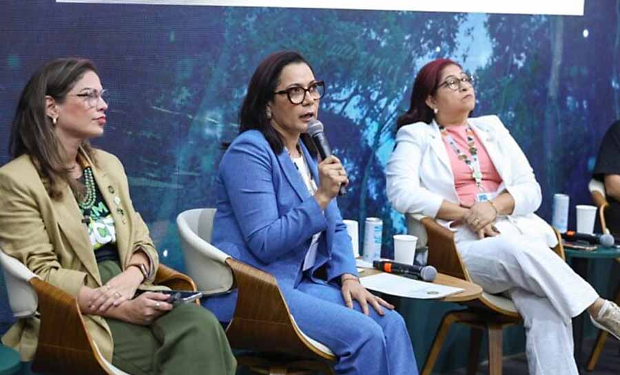 estrategias cop30 002