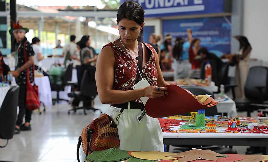 artesaos acreanos sebrae 003