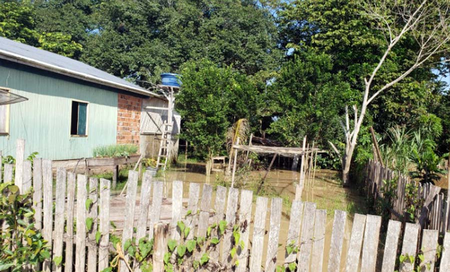 Cheia do Rio Envira já atinge mais de 700 pessoas em Feijó, interior do Acre