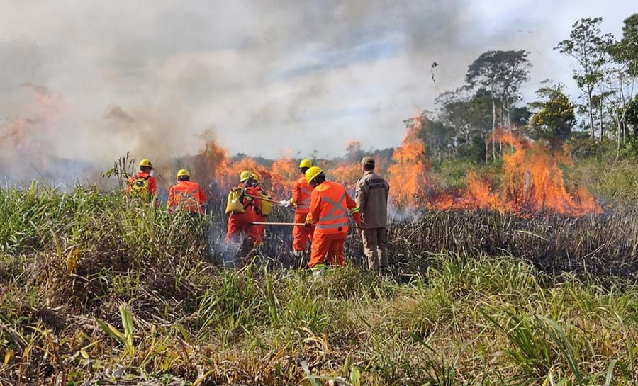 Brigadistas voluntários passam por capacitação para combater incêndios florestais no Acre