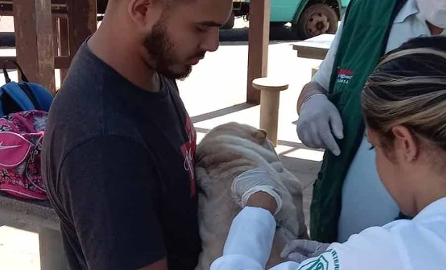 Em Rio Branco, mais de 8,2 mil cães e gatos são vacinados contra a raiva em menos de oito meses