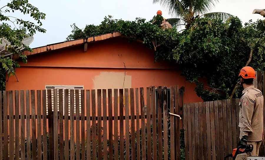 Em um dia, chove mais da metade do esperado para todo mês de setembro em Rio Branco