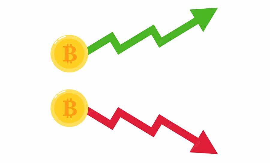 Ascensão e queda da extrema direita