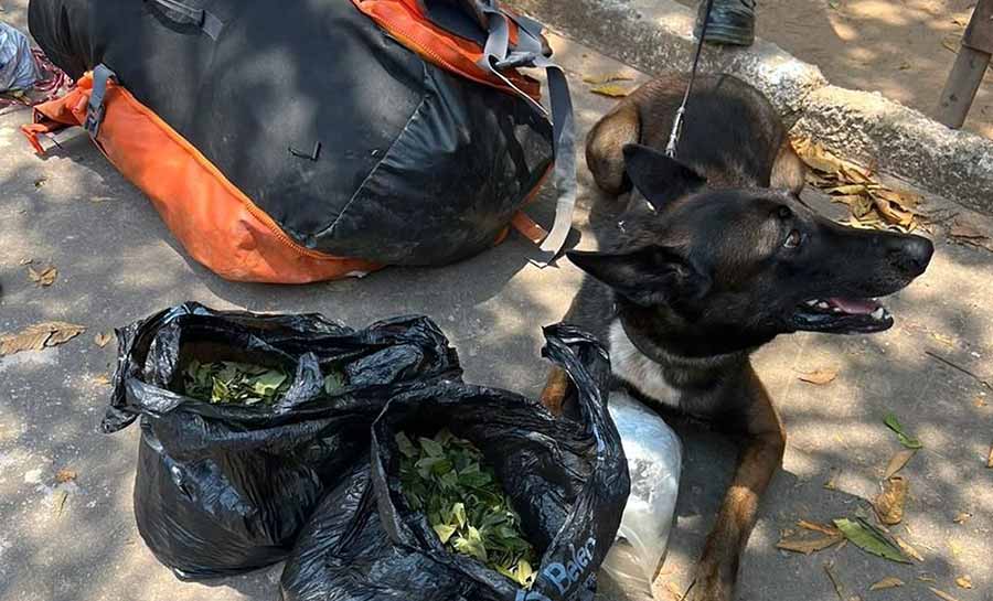 Italiano é detido com duas sacolas de folha de coca na BR-364 entre Rio Branco e Cruzeiro do Sul