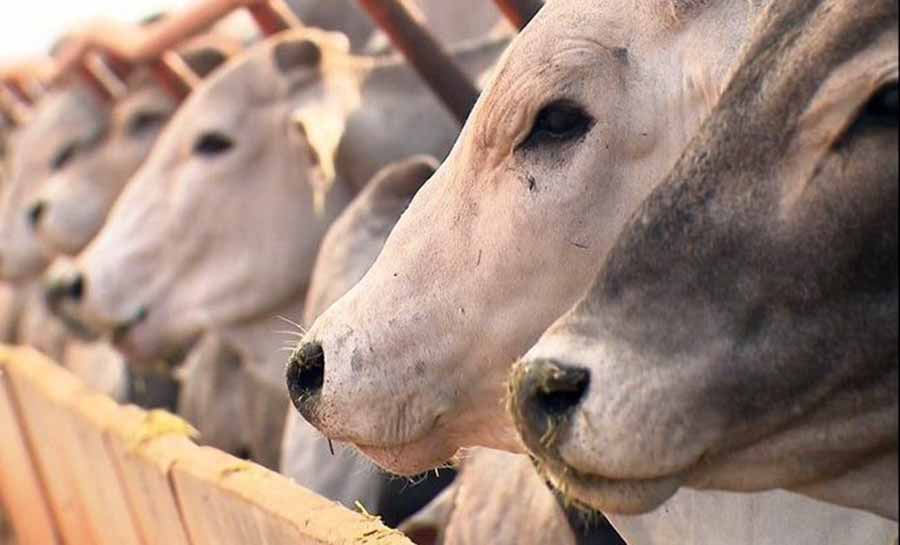 Acre é habilitado no Sistema Brasileiro de Inspeção de Produtos de Origem Animal