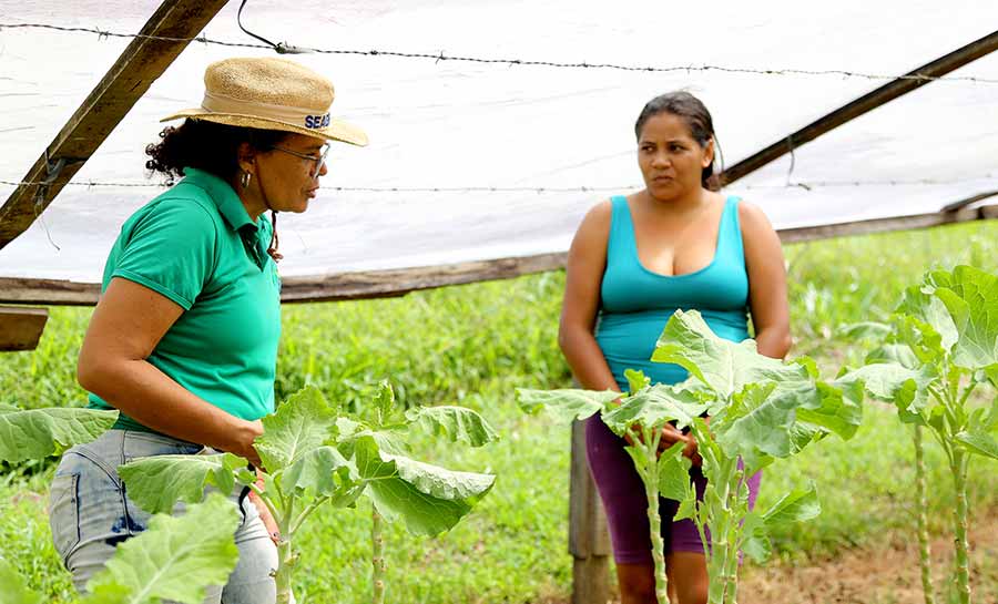 Prefeitura de Rio Branco, a mão amiga do pequeno produtor