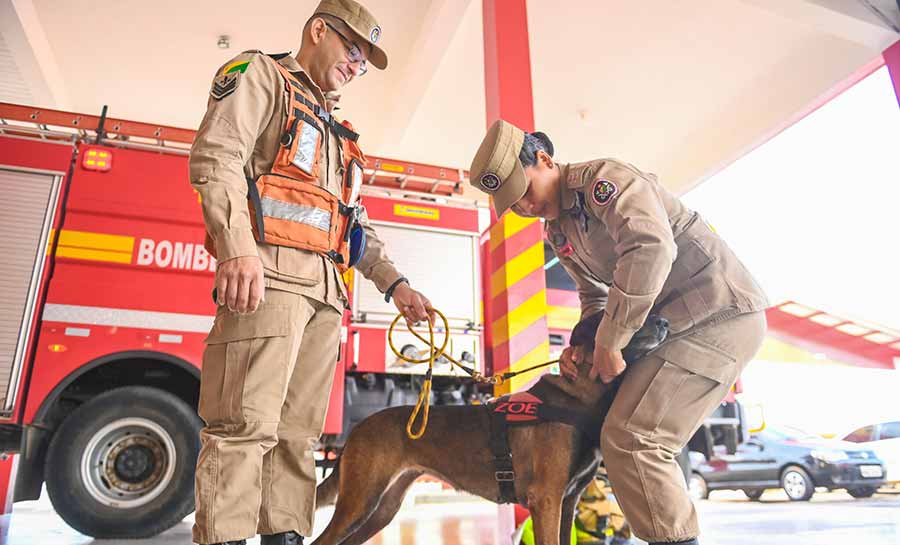 Corpo de Bombeiros do Acre cadastra equipe de resgate com animal para ajudar em missões internacionais