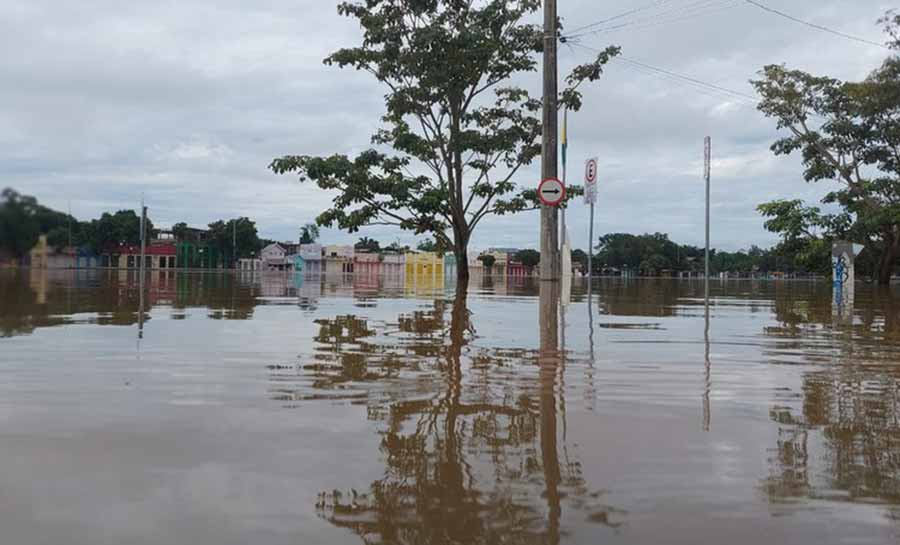 Nível do Rio Acre atinge 17,37 metros e mais de 2,8 mil pessoas estão desabrigadas em Rio Branco