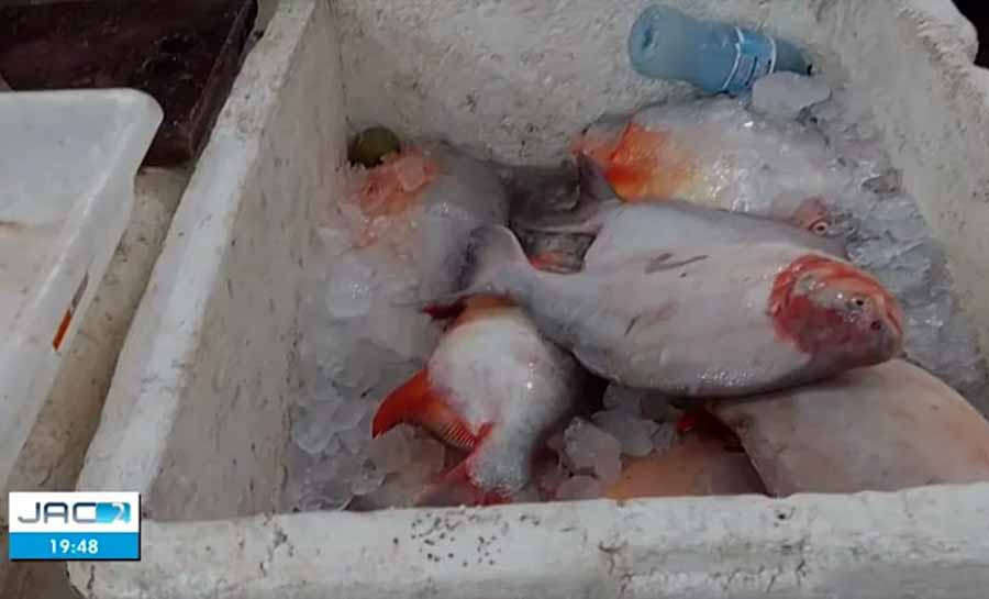 Procura por peixe aumenta durante Semana Santa, mas associação alerta para possível falta no interior do Acre