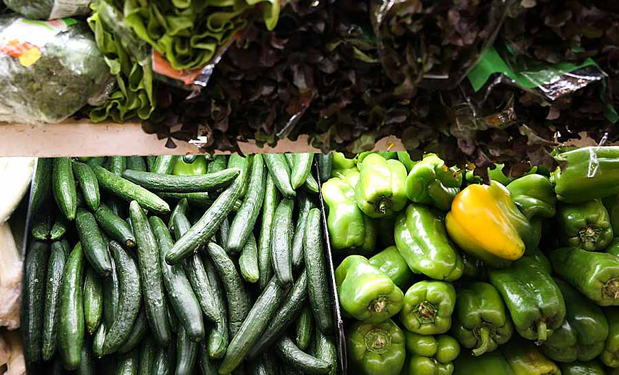 Feira Nacional da Reforma Agrária começa quinta-feira em São Paulo