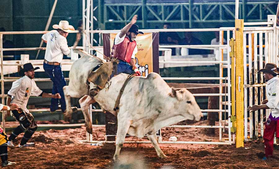 Perto do prêmio, quatro peões seguem na liderança para a fase final do Rodeio