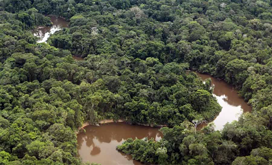 Caminho para o futuro passa pelas causas ambientais e sociais