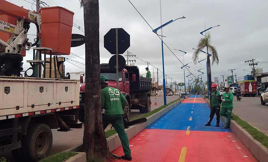 Prefeitura de Rio Branco esclarece sobre derrubada de palmeiras-imperiais na Via Chico Mendes