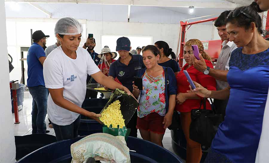 Produtores do Acre e Rondônia participam de Missão Técnica da Farinha de Mandioca de Cruzeiro do Sul