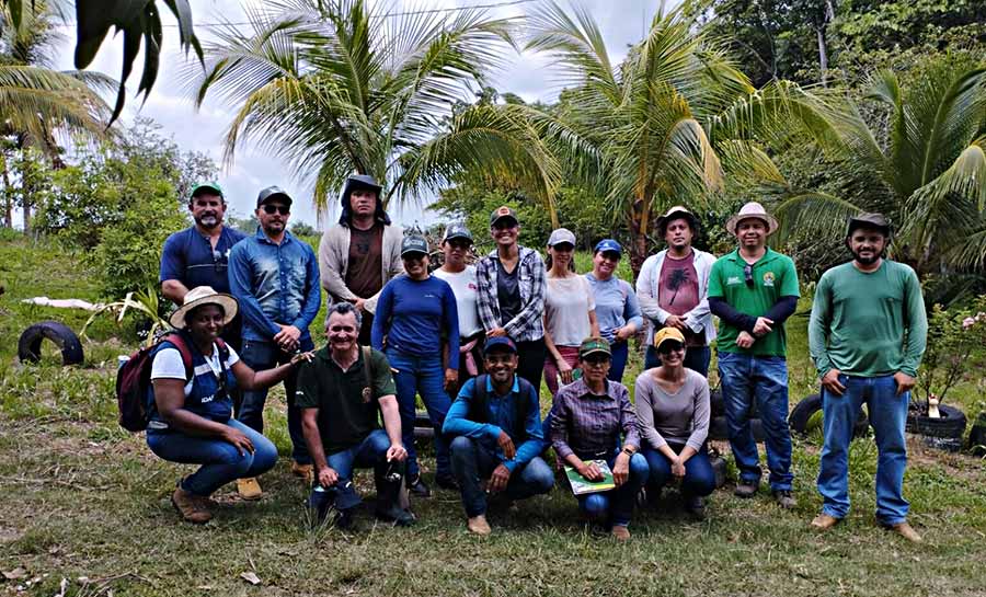 Instituto de Defesa Agropecuária e Florestal do Acre promove certificação no controle de pragas na cultura da banana