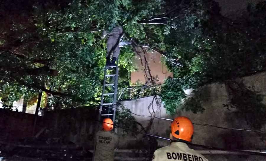 Forte chuva causa queda de árvores e destelhamentos em Rio Branco