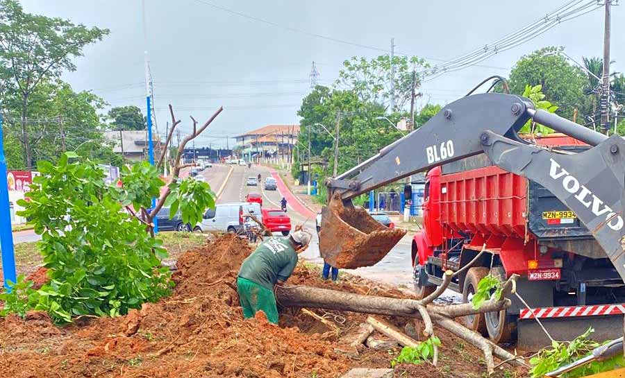 Semeia faz remoção de árvores e grama na Dias Martins para início das obras de elevado na capital