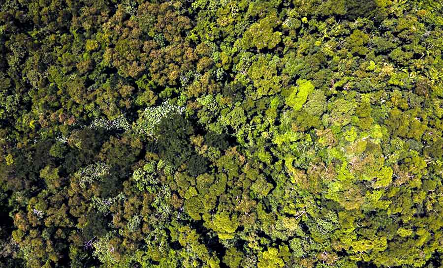 Acre é pioneiro no mundo em negociação jurisdicional de crédito de carbono