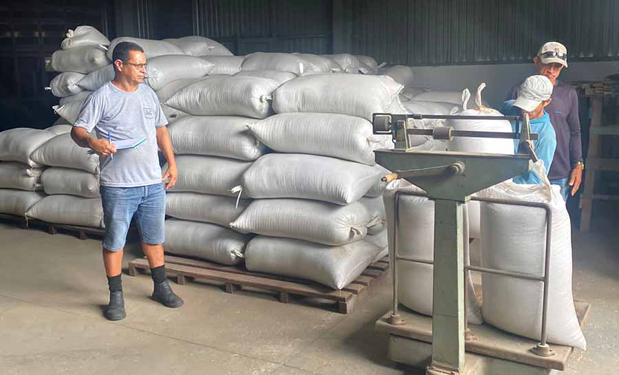 Cageacre divulga aumento no armazenamento de arroz em 25% comparado ao mesmo período no último ano na região do Juruá