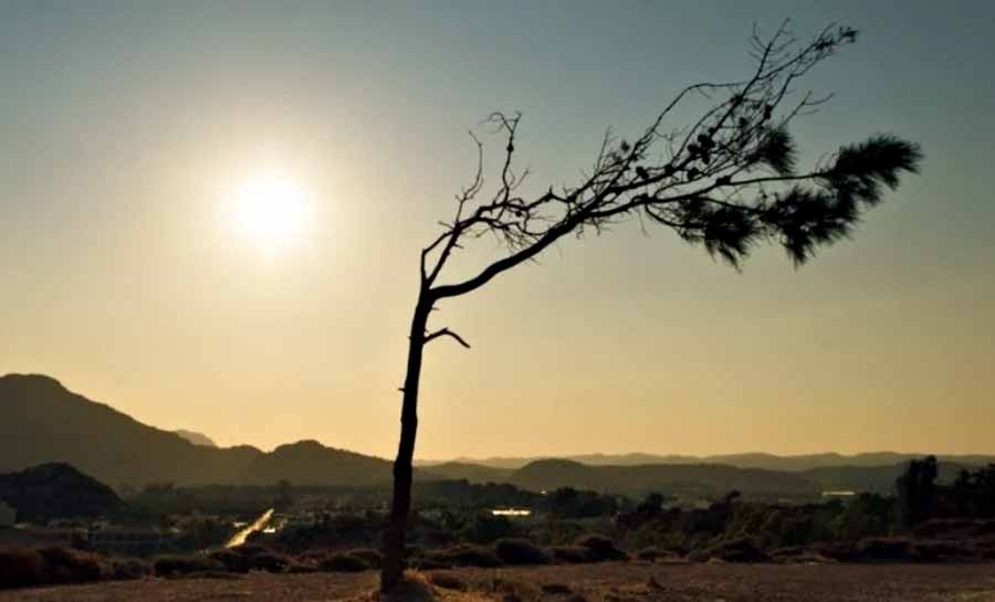 El Niño deve manter temperaturas altas até maio, alerta OMM