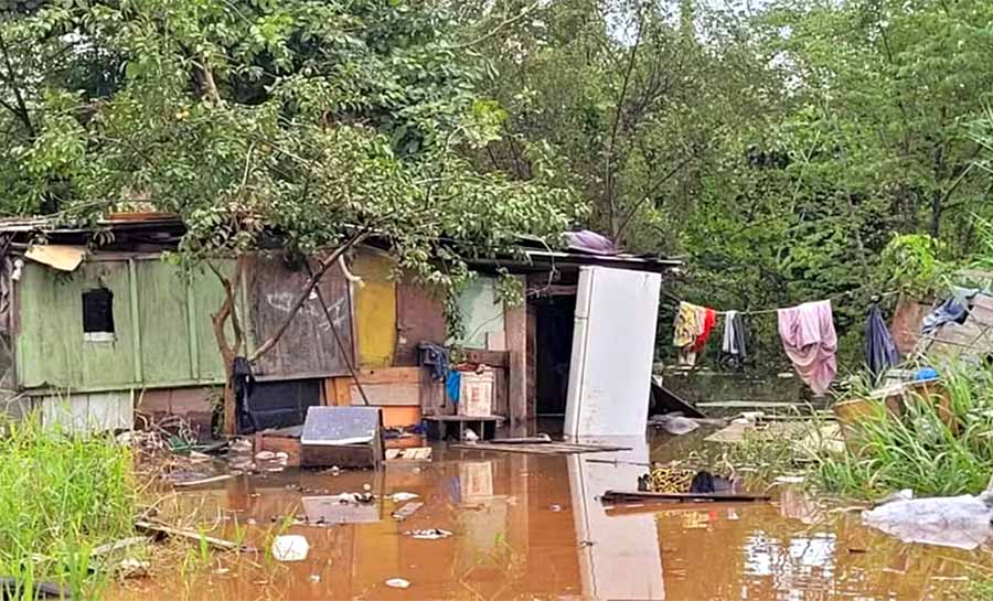 Em menos de três meses, Acre tem mais de 230 casos suspeitos de leptospirose