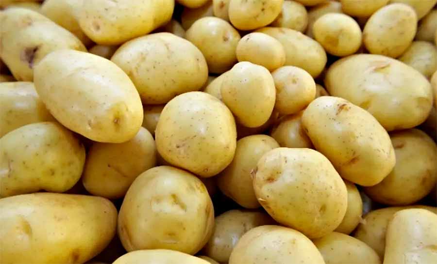 Preço da batata aumenta mais de 40% em três meses na capital, diz estudo