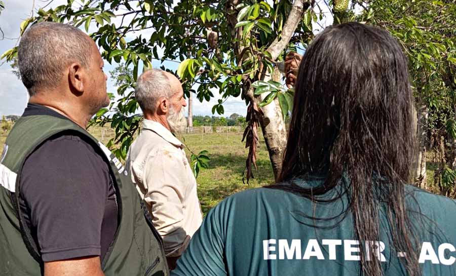 Emater Acre registra evolução produtiva e financeira de agricultores familiares assistidos pelo órgão de governo