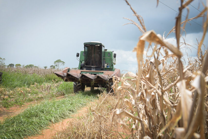 Acre registra o quarto maior aumento na estimativa da produção agrícola em junho, aponta IBGE