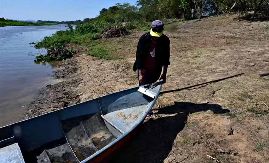 Desmatamento amplia escassez de água no Brasil