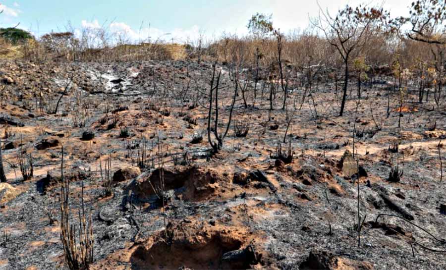 Incêndios podem ter afetado mais de 11 milhões de pessoas no Brasil