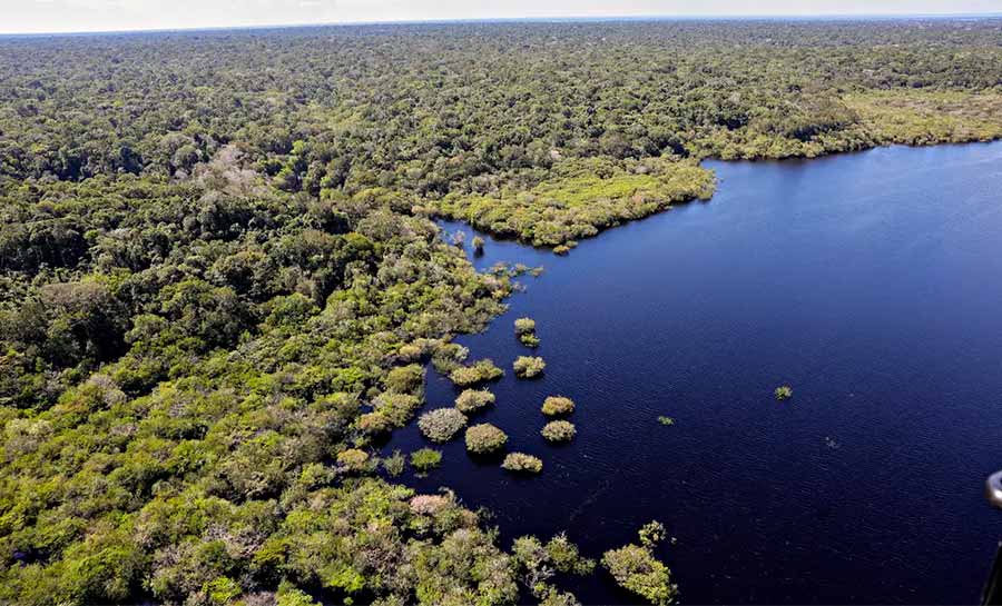 Petrobras e BNDES fazem parceria para restauração na Amazônia