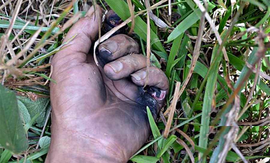 Mortes por descarga elétrica chegam a seis em menos de uma semana no Acre