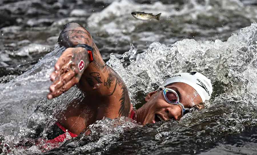 Ana Marcela Cunha é heptacampeã do Circuito Mundial de Águas Abertas