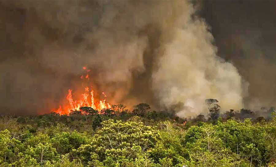 Câmara aprova aumento de punição a quem provocar incêndios florestais