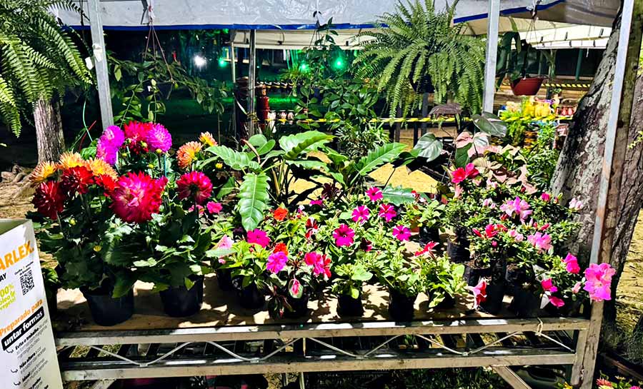 X ECOFLORES movimenta economia local e fortalece produção regional