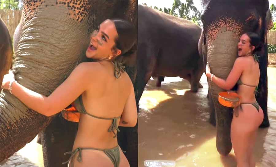 Mel Maia posa com elefantes durante viagem pela Tailândia