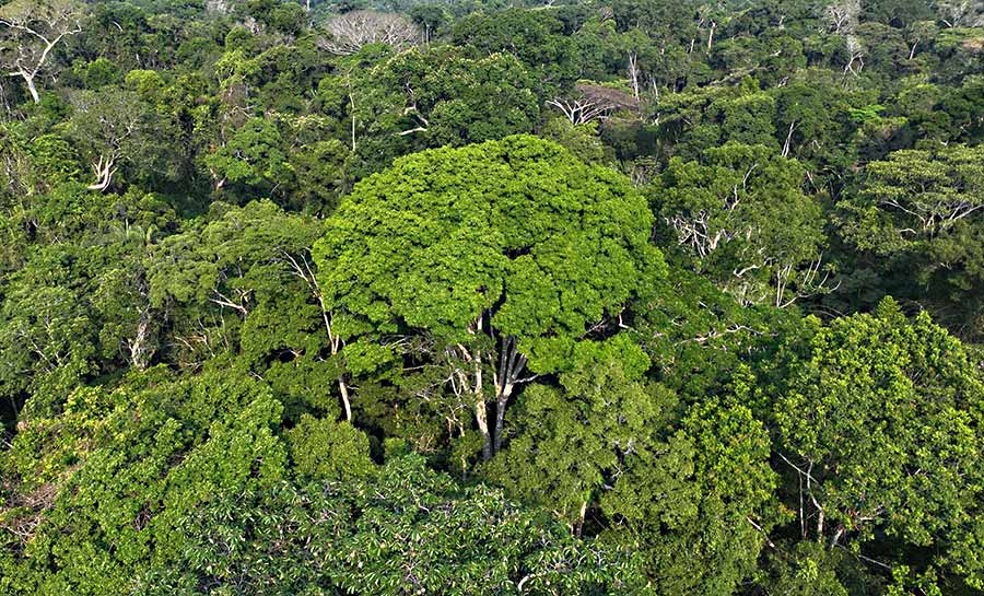 Governador Gladson Camelí apresenta proposta na Aleac para integrar orçamento público à agenda climática