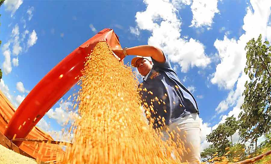 Agropecuária ajudou oito estados a crescerem mais que o Brasil em 2023