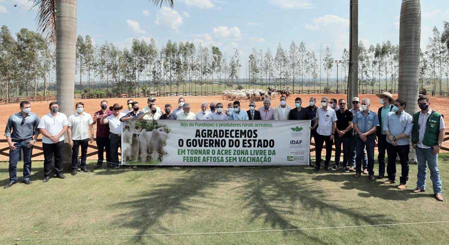 COLETIVA AFTOSA web